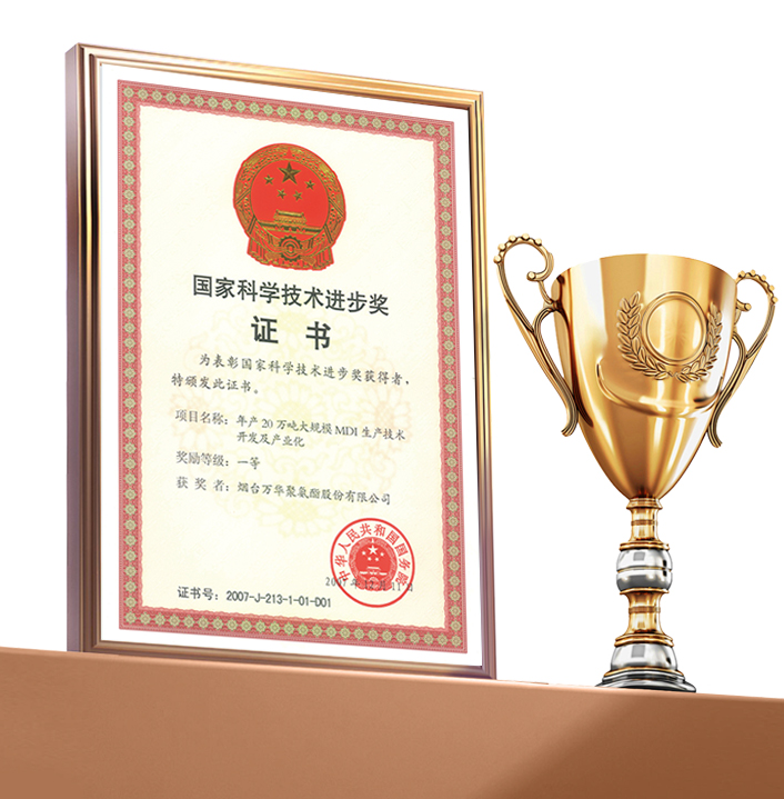 National Science and Technology Progress Award — First Class